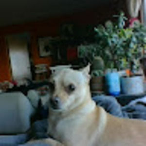 Meet your Posher, Sacha